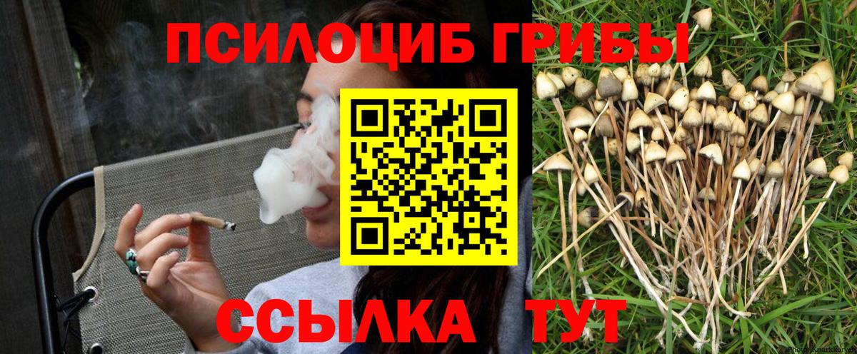 Галлюциногенные грибы MAGIC MUSHROOMS  Вход с VPN  Псилоцибиновые грибы Psilocybine cubensis  Дербент 